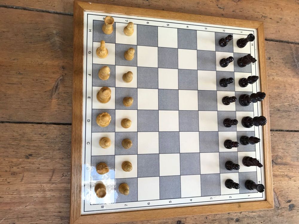 Schachbrett mit Figuren Kaufen auf Ricardo