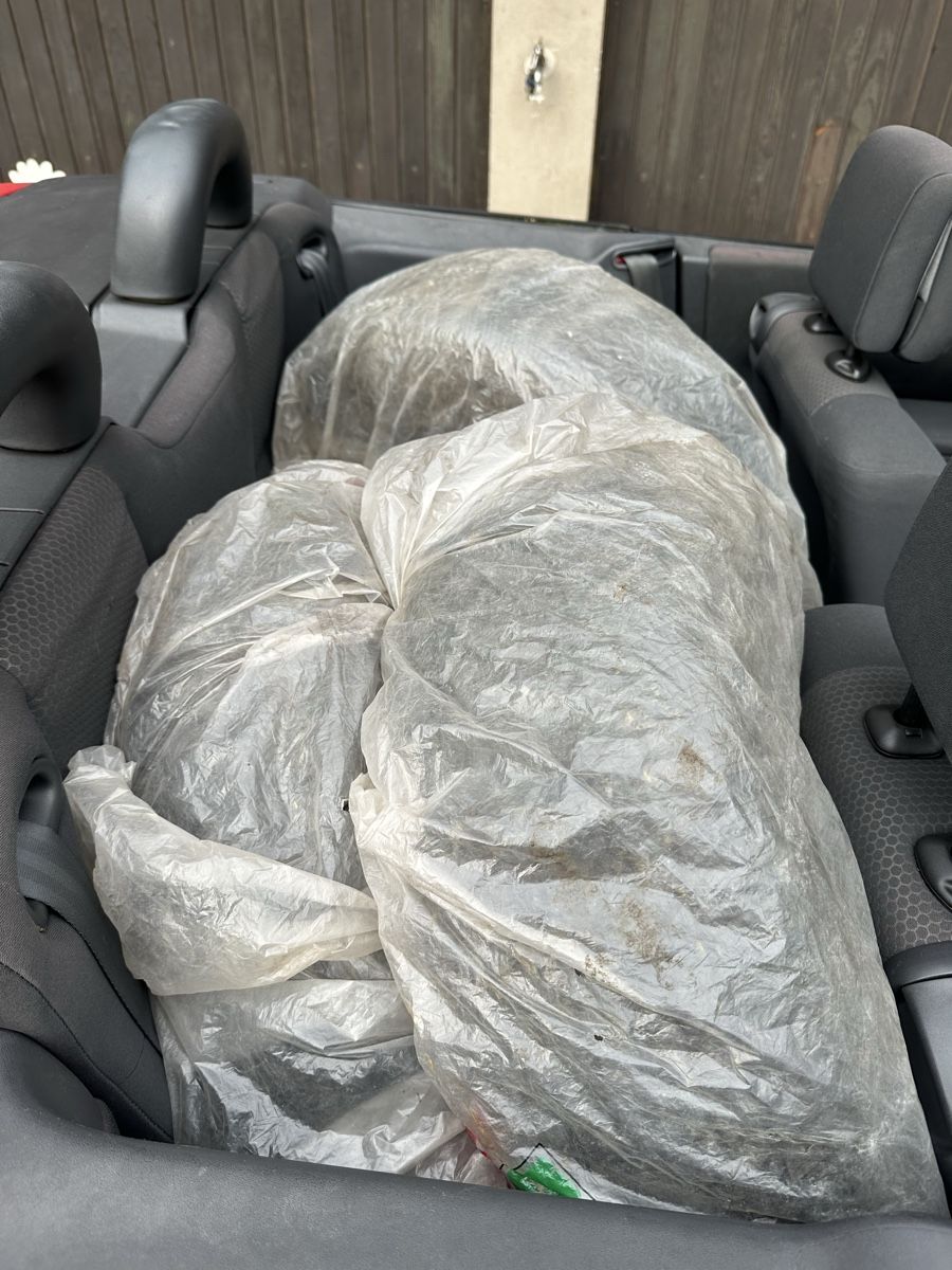 Renault Automobili: Renault Mégane Cabrio rot – Usato da Wittenbach venduto da Mirjam1991 6