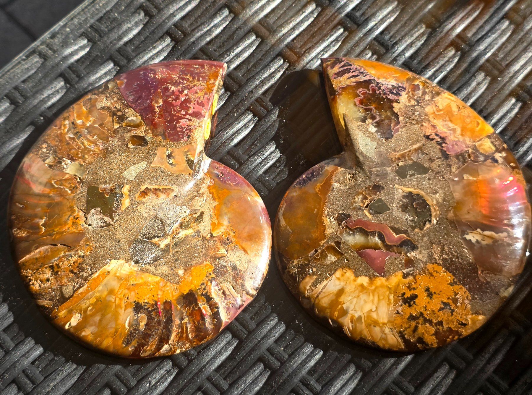Fossili: Ammoniten Paar P2 335g – Nuovo e nell'imballaggio originale da Matzingen venduto da Shay_Crystalz 1