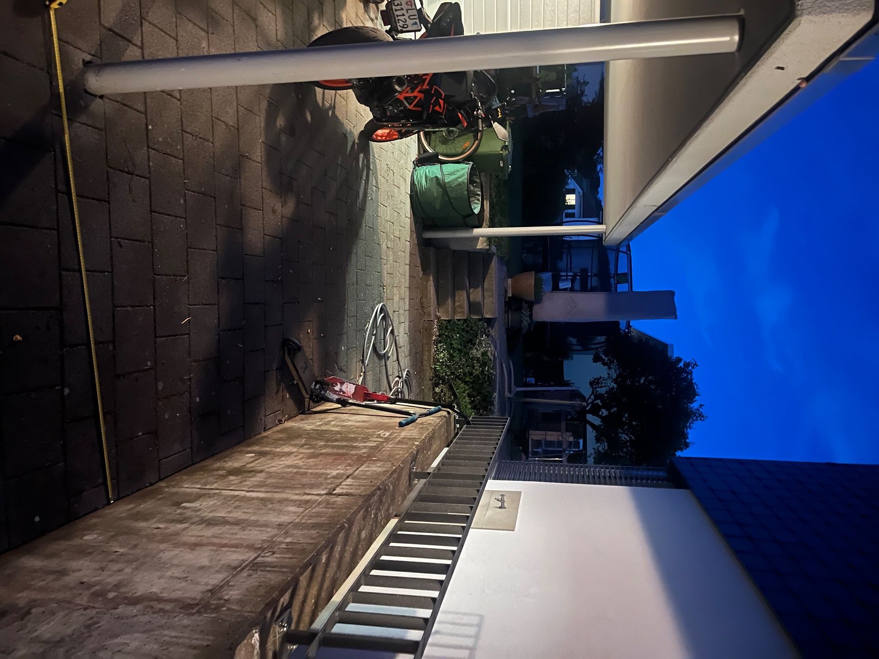 Piante & sementi: Roter Japanischer Ahorn – Usato da Rickenbach LU venduto da Haefliger03 4