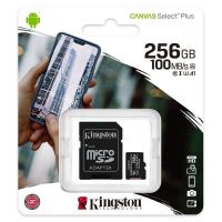 Kingston 256 GB Micro SD Speicherkarte