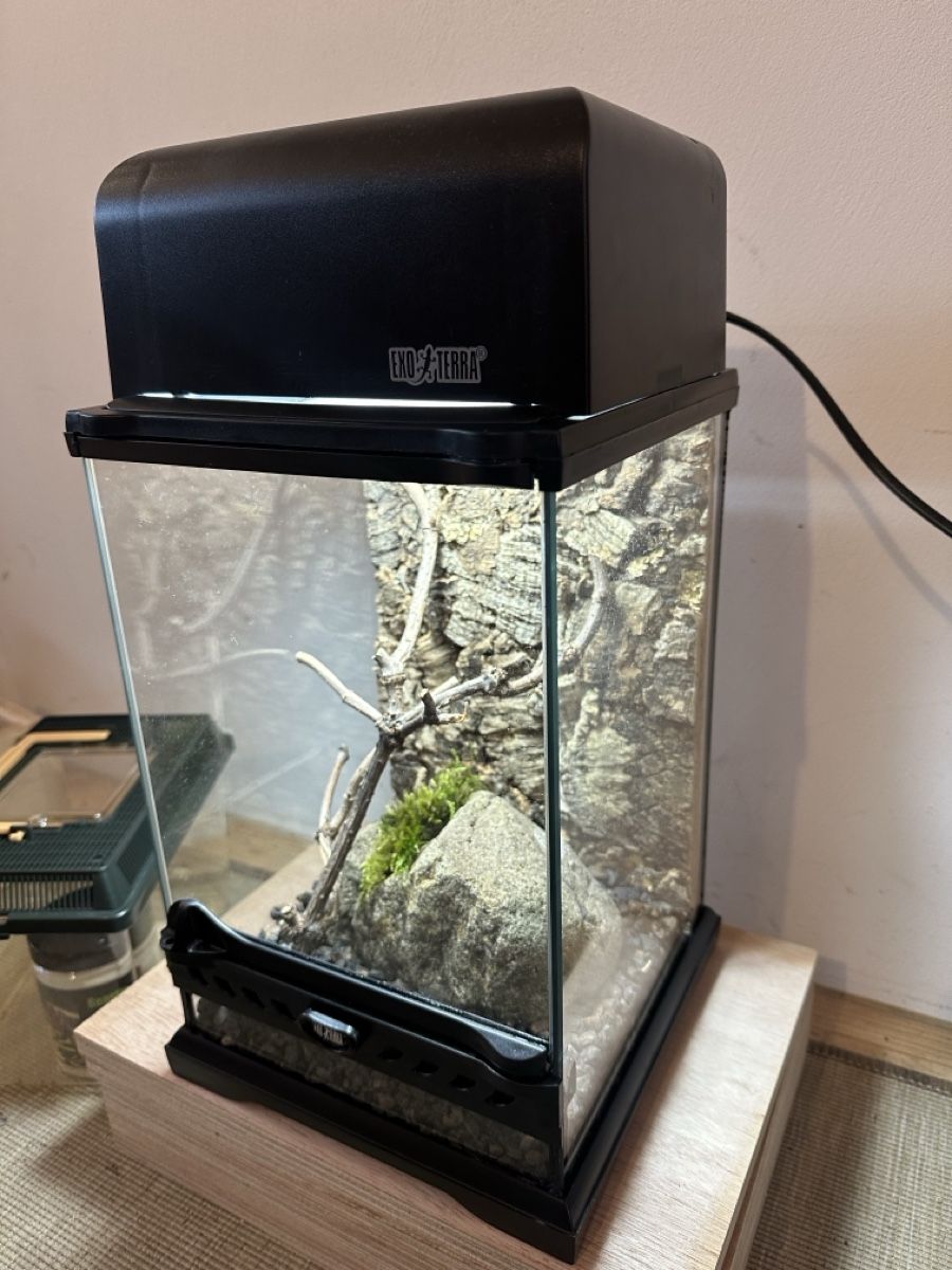 Terrario: Terrarium Exo Terra – Usato da Russikon venduto da vwbuss87