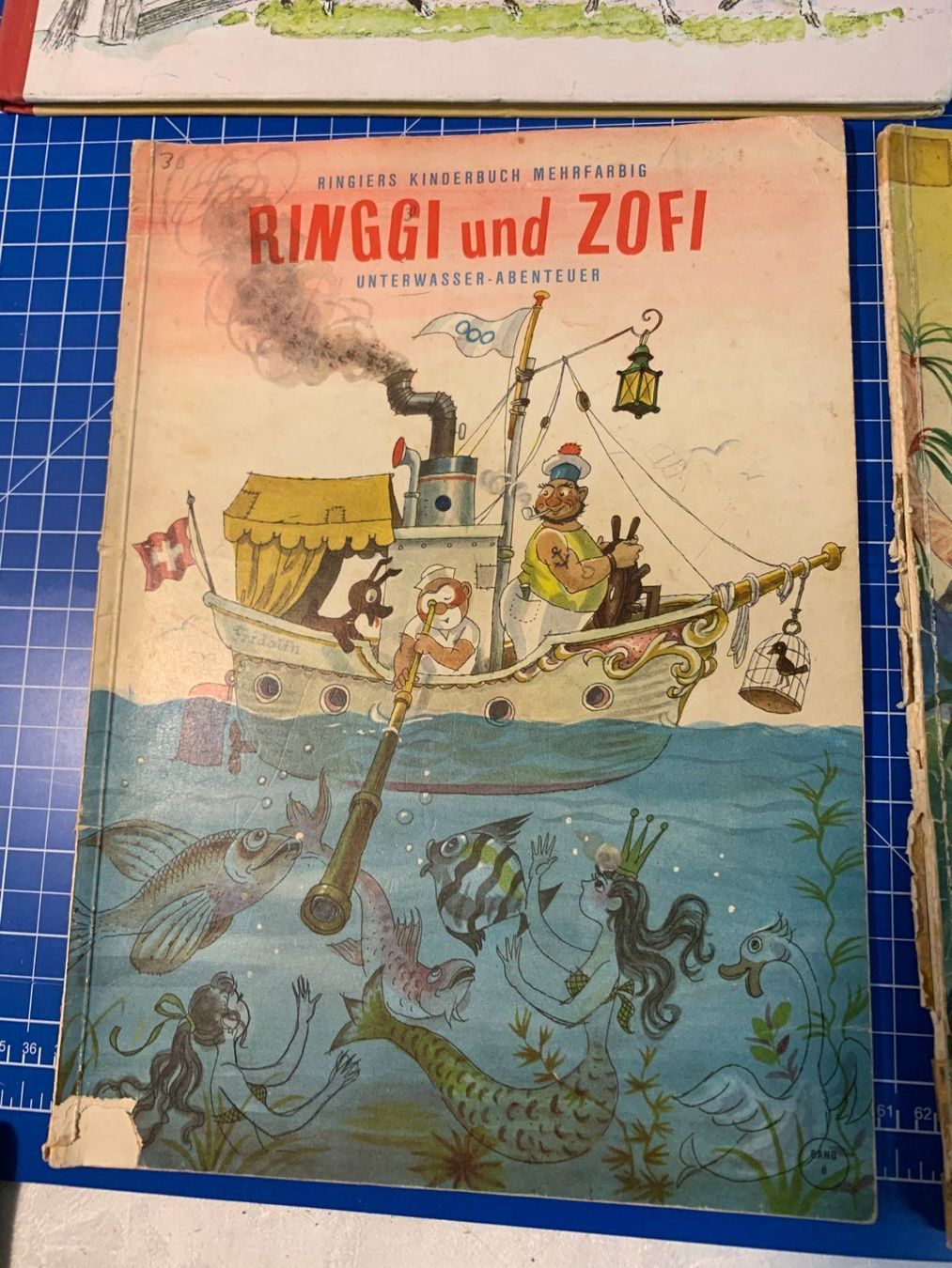Libri: 2 Kinderbücher Ringgi und Zoffi – Usato da Arch venduto da Seil818 1