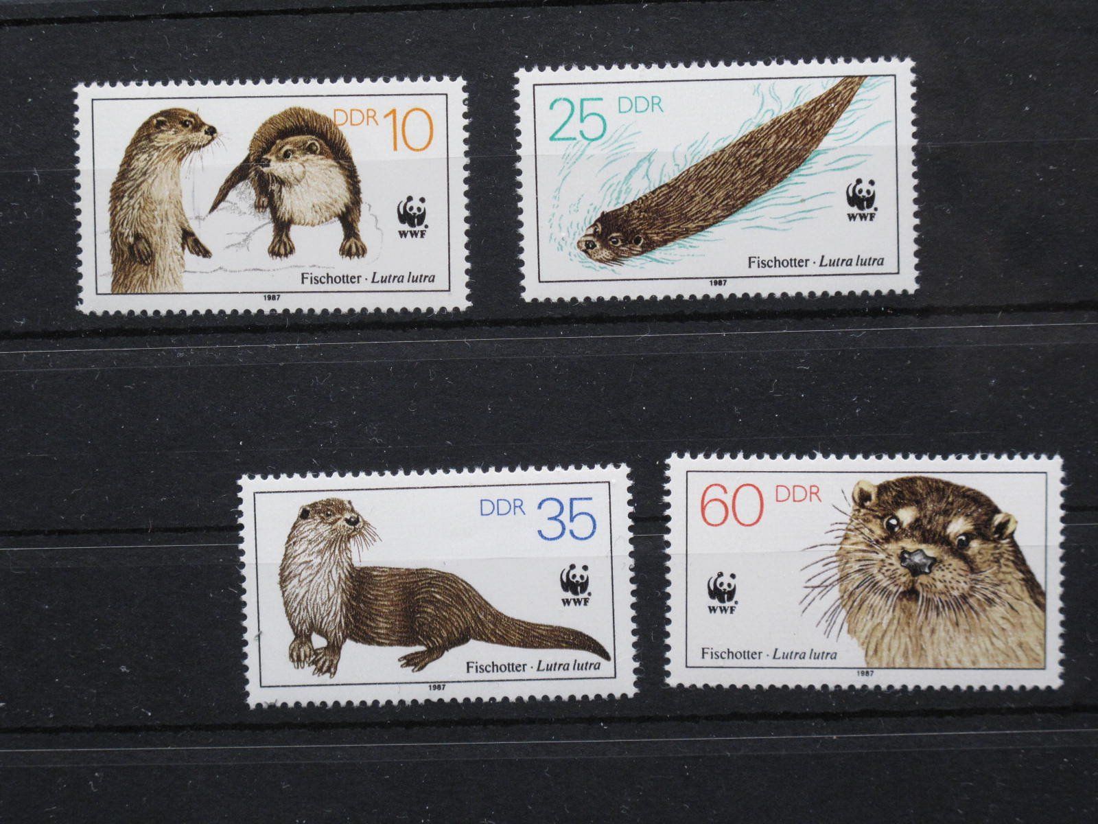 Tous les timbres: DDR 1987 Bedrohte Tiere ** – D'occasion à Wil SG par fva01