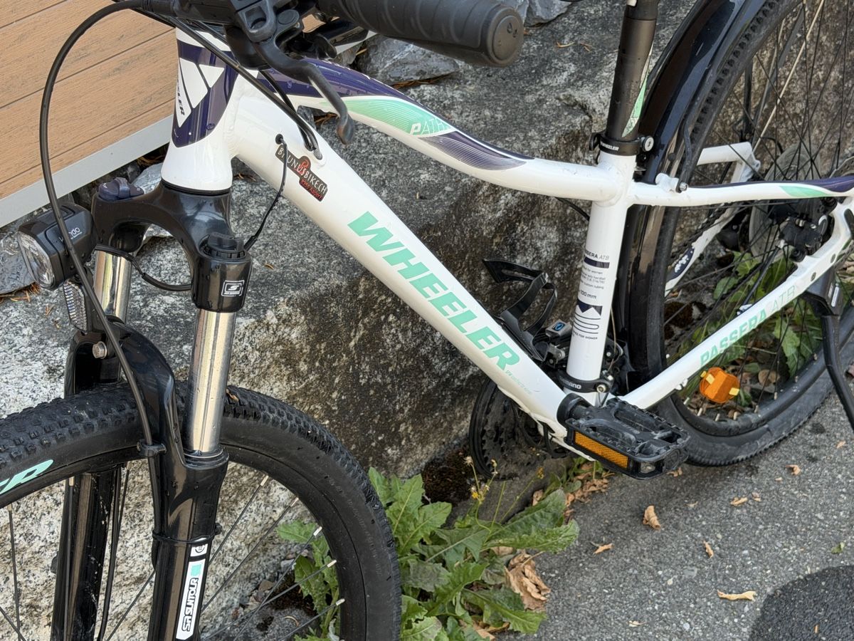 Wheeler Velos: Wheeler Mädchen Bike – Gebraucht aus Sirnach von Chulio 3
