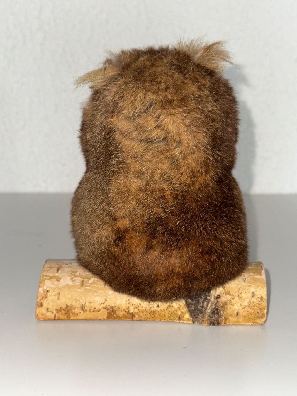 Tutte le decorazioni: Kleine Eule, kuschlig weich, Dekoration – Usato da Grosswangen venduto da Second_hand_paradise 2