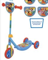 Tri scooter