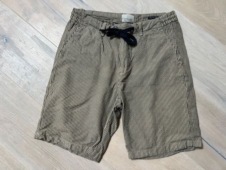 Herrenshorts beige/blau gestreift der Marke DSTREZZED Gr. 30