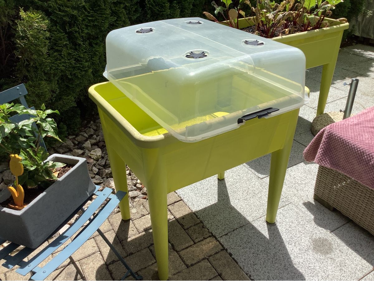 Box contenitori: Hochbeet grün  – Usato da Veltheim AG venduto da mollilove 1