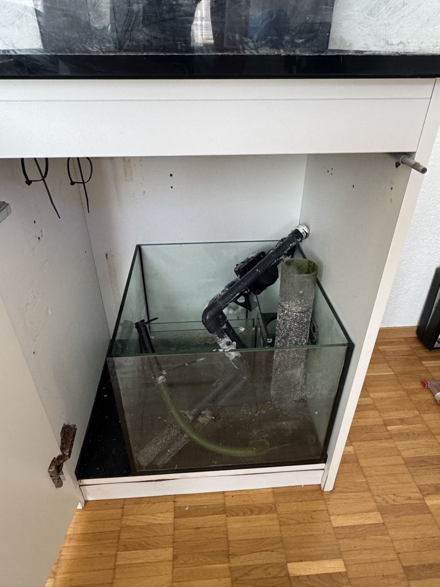 Aquarium: RedSea Reefer 170l  – Gebraucht aus Thalwil von sev_2y29 1