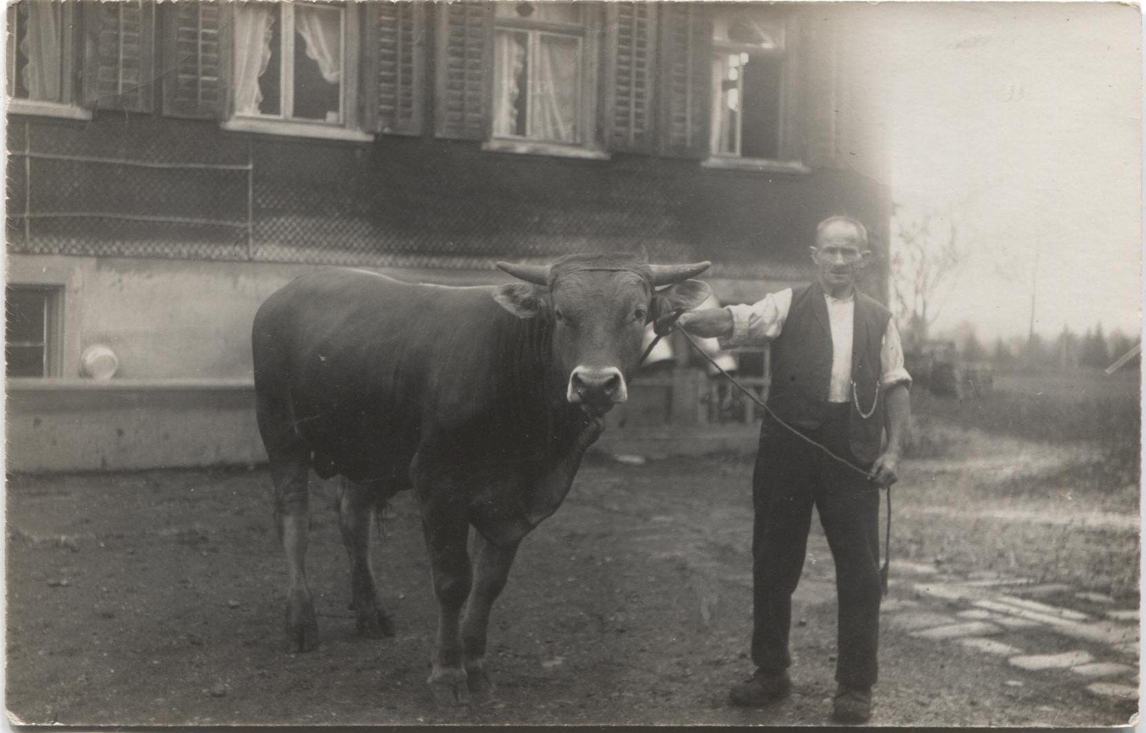Ansichtskarten: Landwirtschaft/Bauer 1920 mit Kuh - Waldstatt AR? – Gebraucht aus Wil SG von Clanx