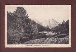 Toggenburg - GRÄPPELENALP - Schafberg - 1915
