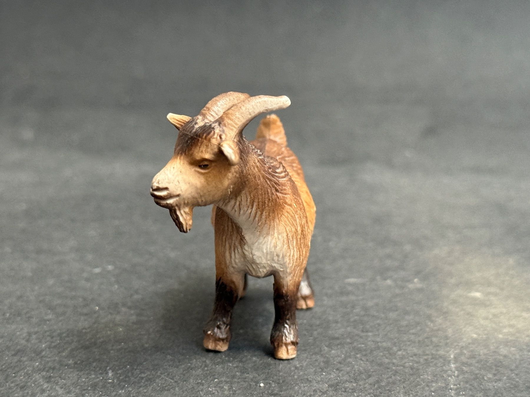 Schleich Figurines: Schleich Ziege Zwergziege – D'occasion à Ennetbaden par mapa05 4