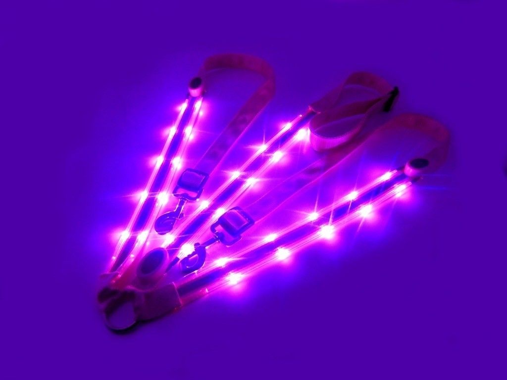 Briglie & Cavezze: Pony LED Vorgeschirr pink – Nuovo e nell'imballaggio originale da Kerzers venduto da sb_12 1