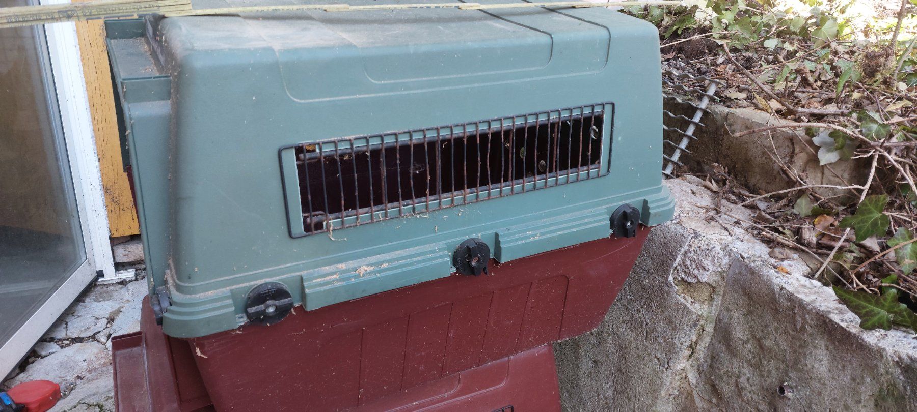 Käfige, Transport & Sicherheit: Hunde-Transportbox/Reisebox – Gebraucht aus Brislach von ericCH