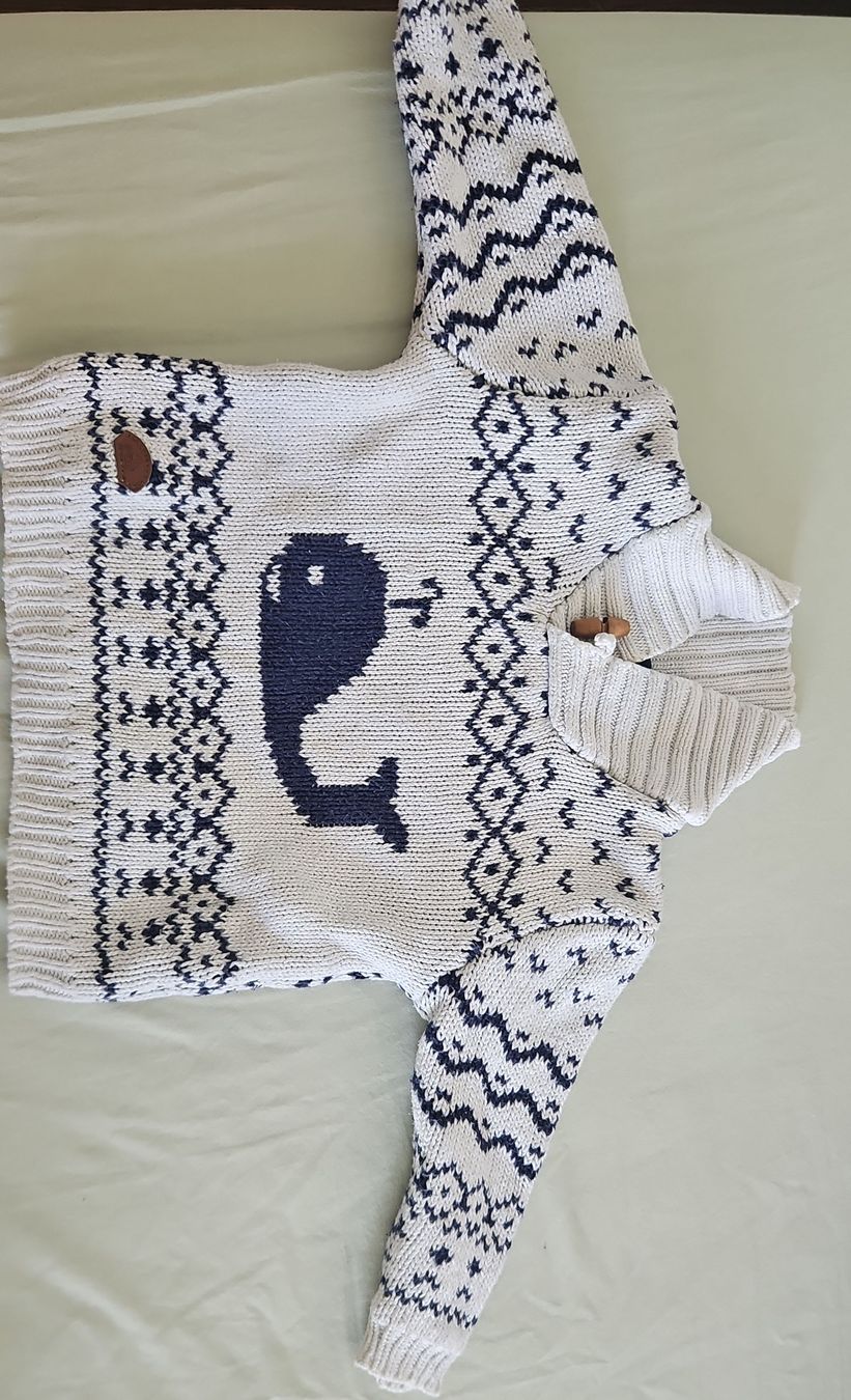 Maglioni & Felpe: Kinder Strickpullover Wal Motiv beige blau  – Usato da Oberwil BL venduto da Nymeria_1993