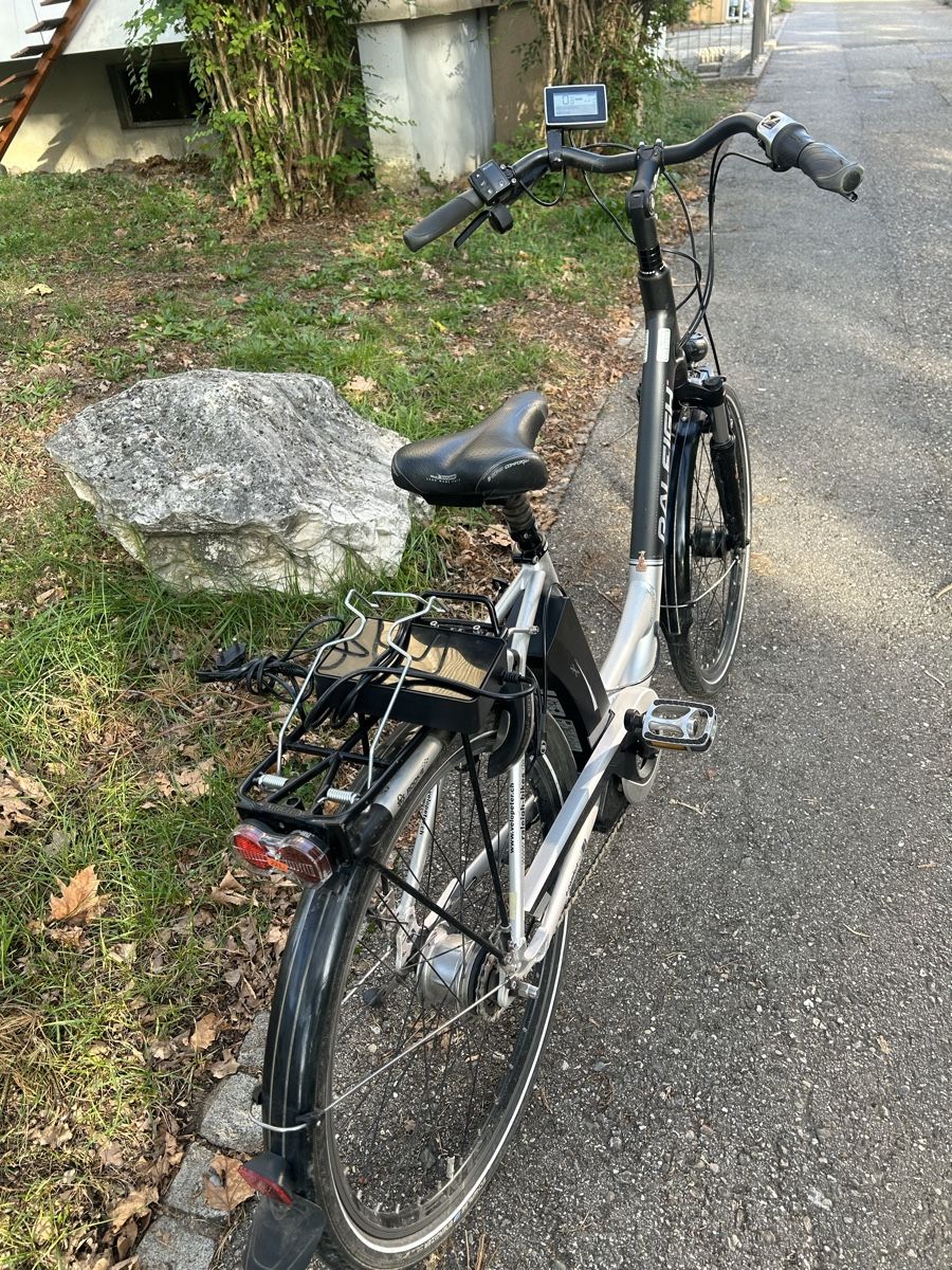 Raleigh Biciclette: Raleich  – Usato da Egerkingen venduto da G1970B 7