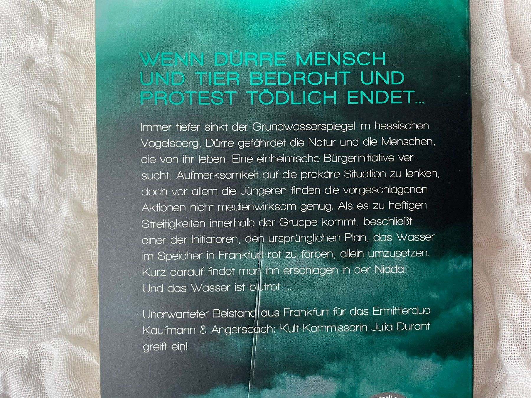 Libri: Daniel Holbe / Glutstrom – Usato da Reinach AG venduto da Nahe 1