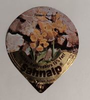 Serie 5 Alpenblumen - I - Nr 8
