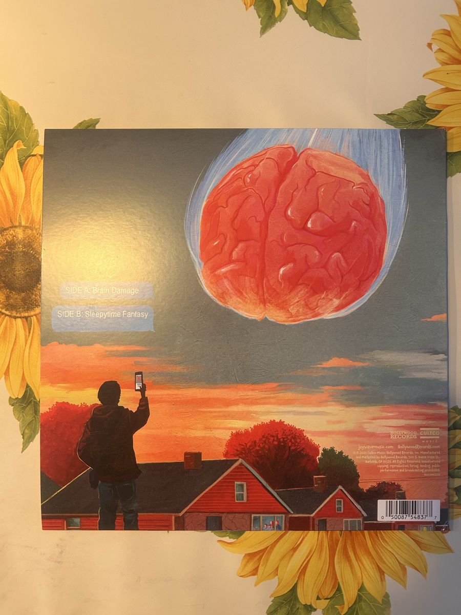 Dischi in vinile: Joywave Brain Damage Picture Vinyl Edition – Nuovo (secondo la descrizione) da Egnach venduto da SamC999 1