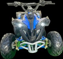 Quad ATV , electric Renegade Kind XL E- ATV Elektroquad
