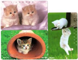 Katzen - 3 schöne Motiv Telefonkarten aus Japan