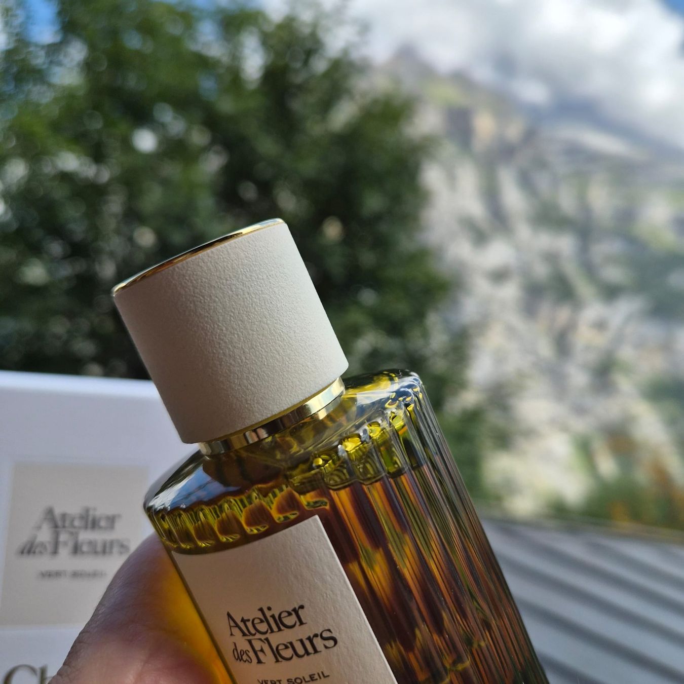 Chloé Parfums & Eau de Toilette: Chloé Atelier des Fleurs Vert Soleil – D'occasion à Mürren par EvaLeonard 2