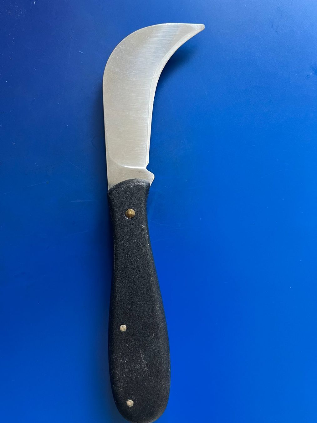 Victorinox Coltelli tascabile: Grosses Messer Victorinox – Usato da Dintikon venduto da Redgar58 5