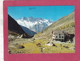 Almagelleralp 1984