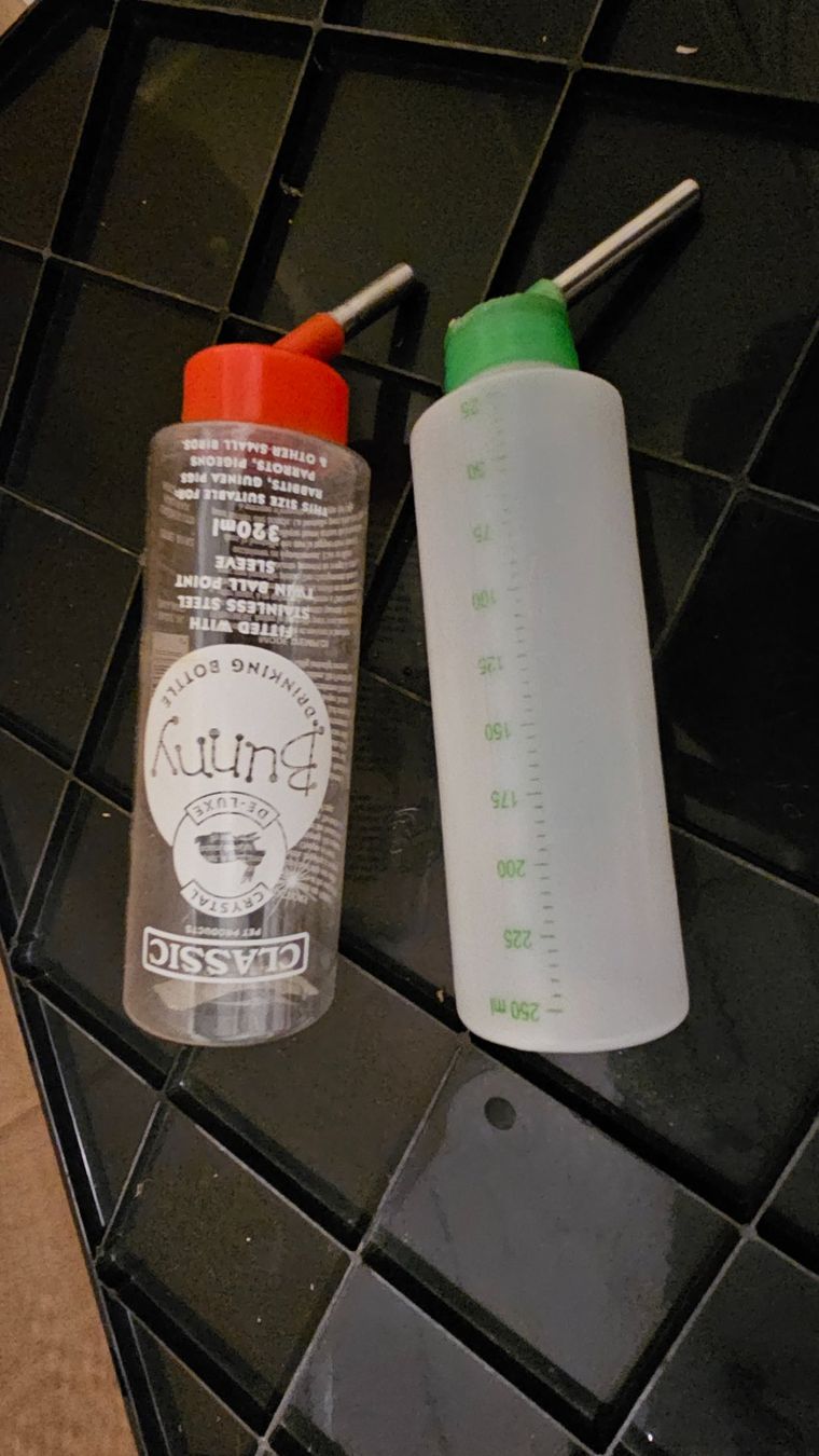 Cucce & Letti: 2 Nager Trinkflaschen – Usato da Arbon venduto da Flyaway8