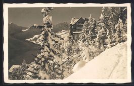 Arosa, Pension Villa Dr. Herwig im Schne
