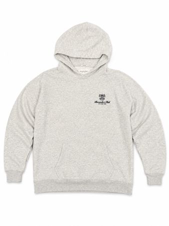 Abercrombie & Fitch Hoodie L