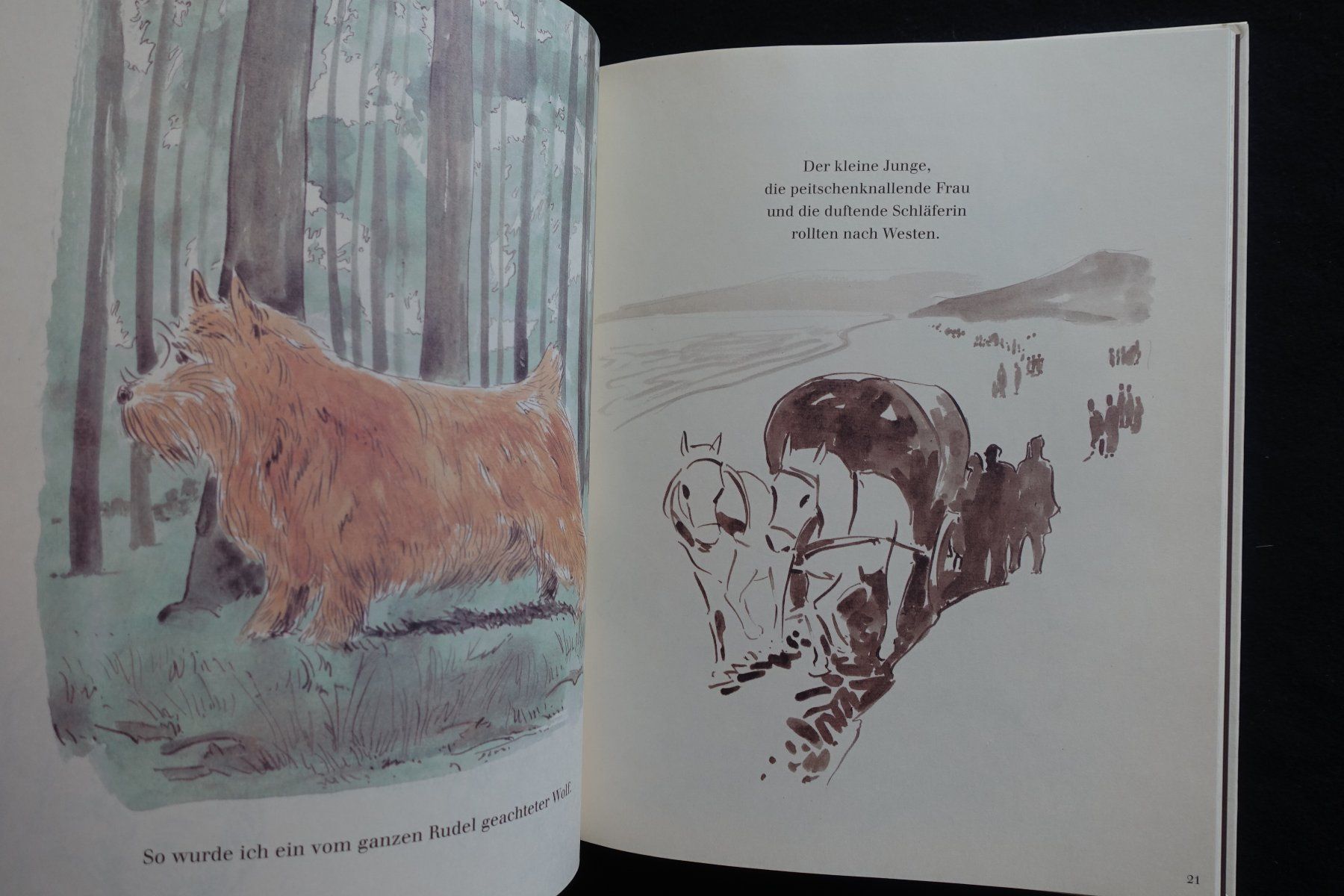 Libri: Friedrich Karl Waechter, Der rote Wolf. Diogenes ab 5chf – Usato da Gutenswil venduto da Optico 1