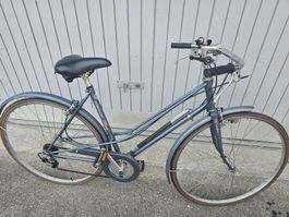 Dammen Halbrenner Condor