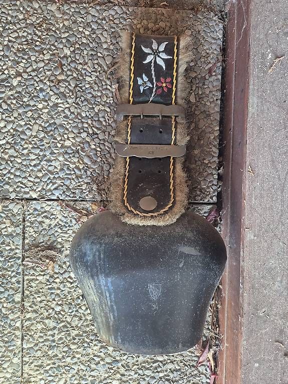 Campanacci mucche: Glocke Treichel – Usato da Bern venduto da edmarshund01