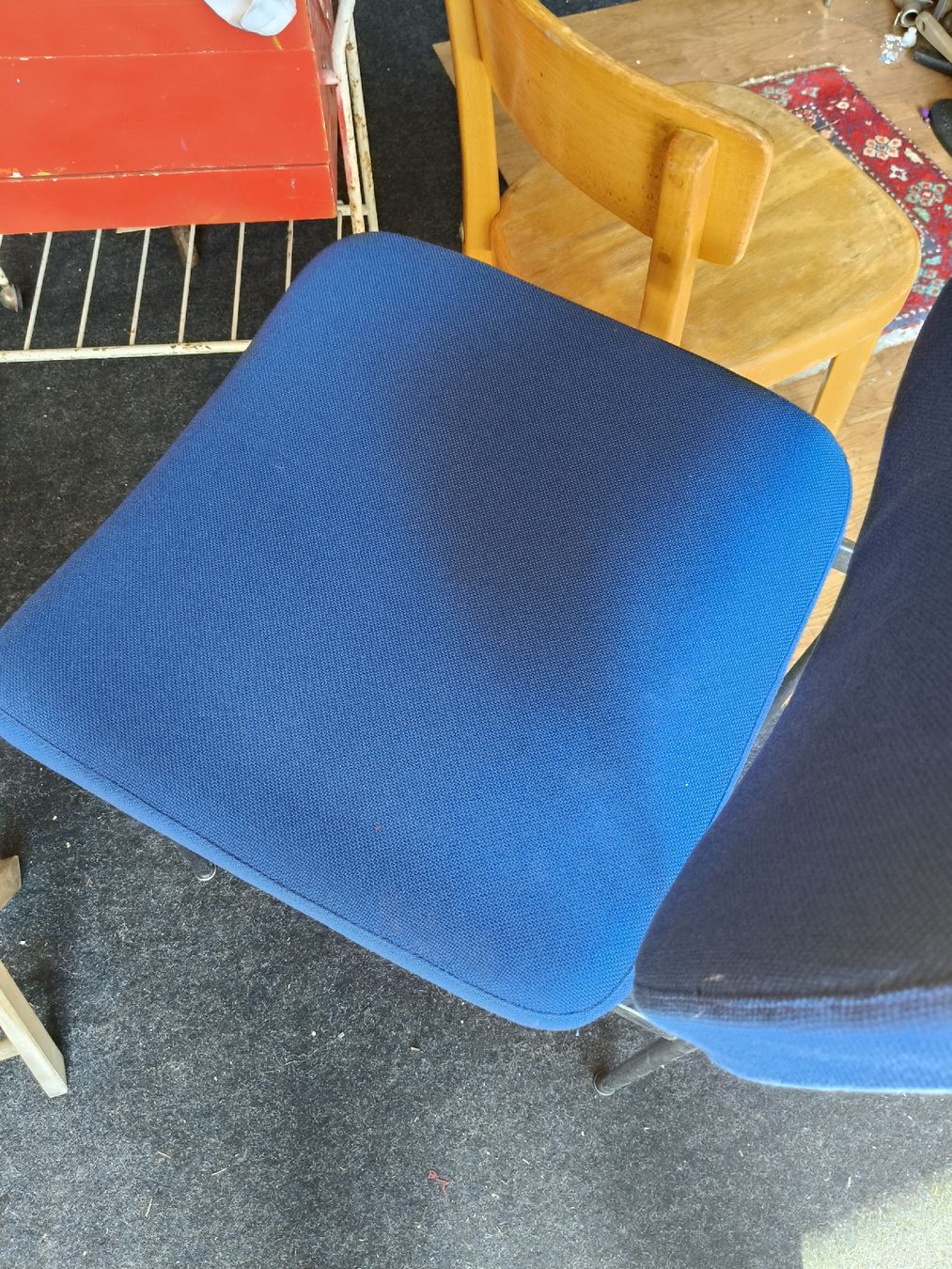 Stella Sedie: Blaue Stella Polsterstühle 5 Stück – Usato da Zwingen venduto da inf_2blh 1