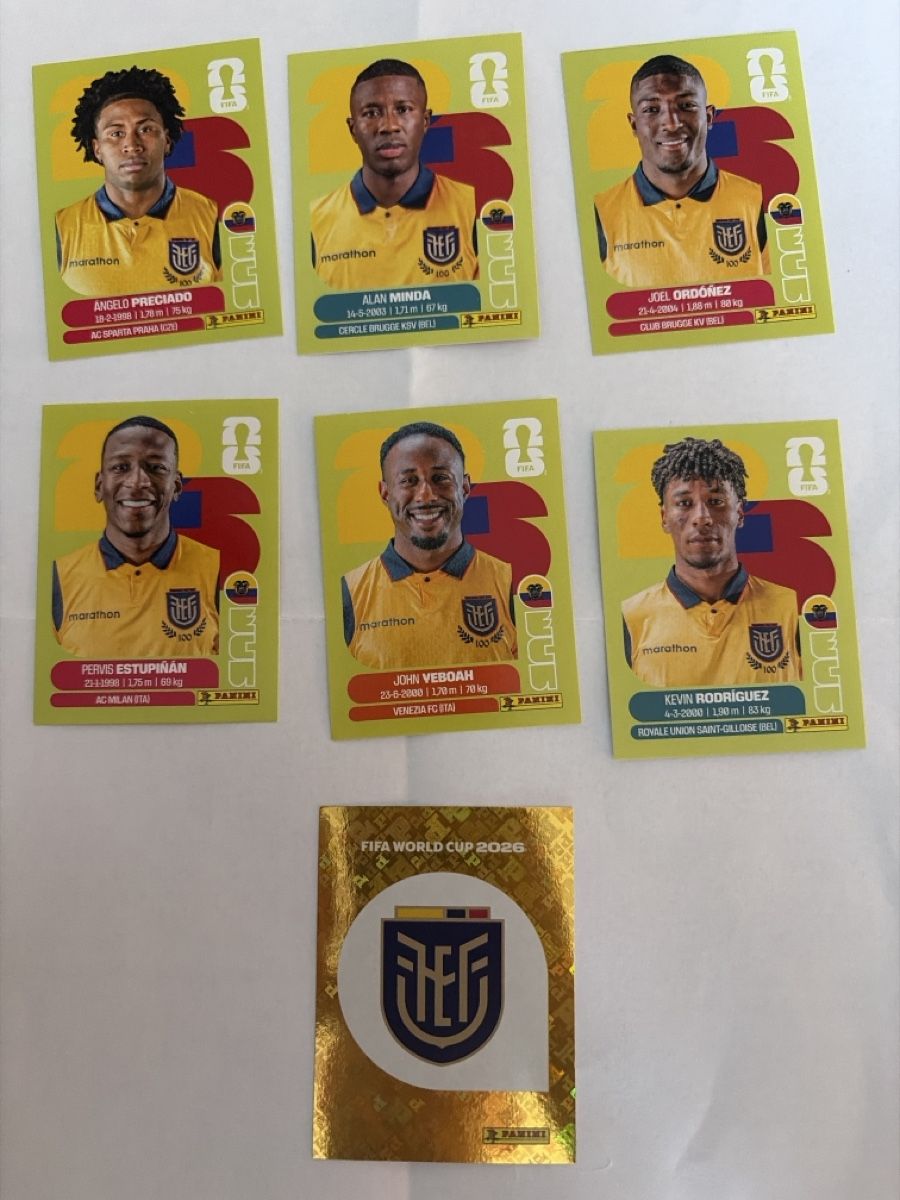 Panini Carte collezionabili: Panini 2026 lot de carte ECU – Nuovo (secondo la descrizione) da Pensier venduto da swerrmich