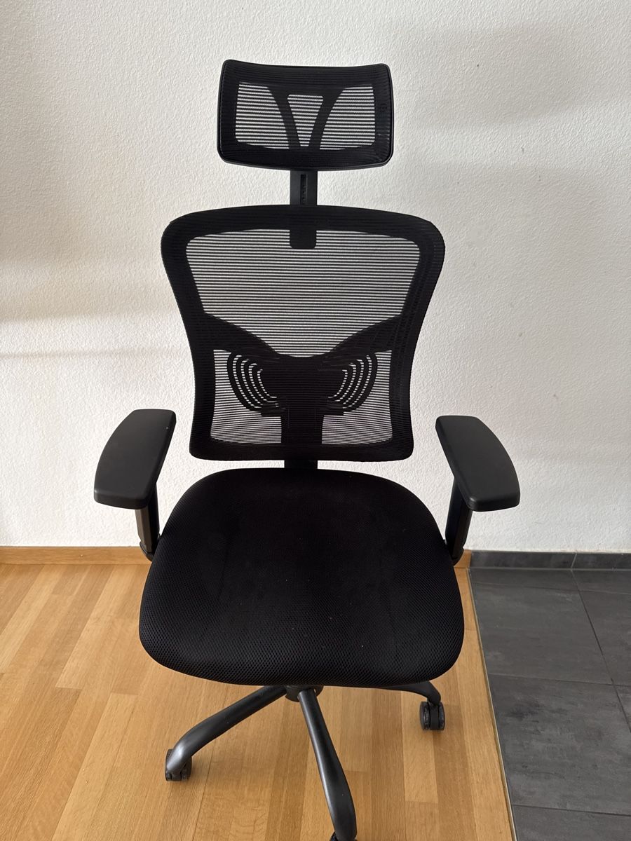 Sedie: NOBLEWELL ergonomic office chair with lumbar support – Usato da Zürich venduto da rha_t7sc
