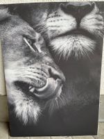 Canvas Löwenpaar 50x70cm