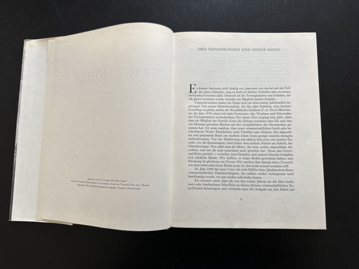 Libri: Ewige Höhen – Usato da Erstfeld venduto da Mario_boe0 2