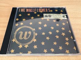 B2 The Wallflowers – Bringing Down The Horse