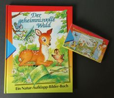 Der geheimnisvolle Wald, Buch + Spiel / NEU