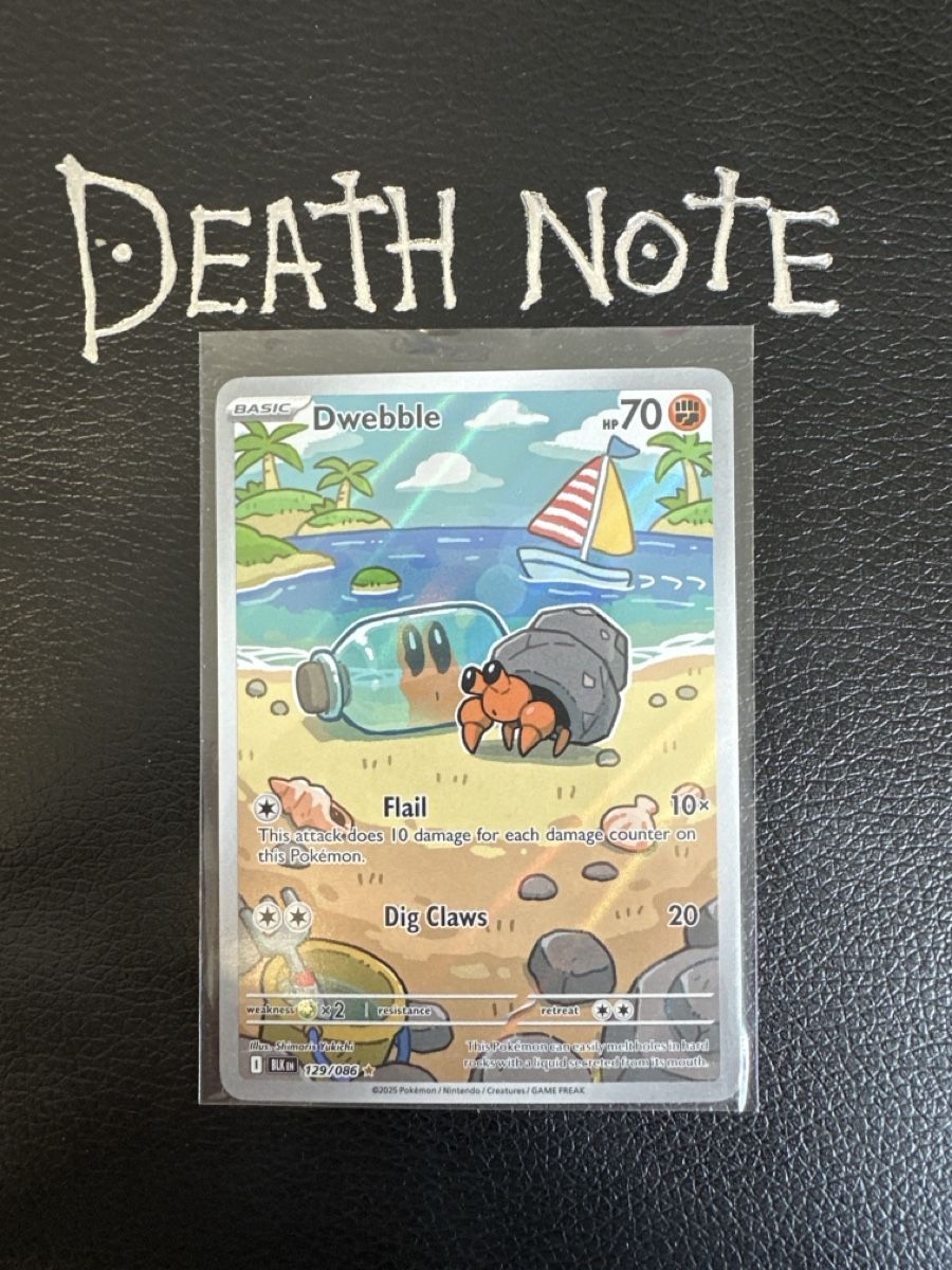 Pokémon Carte collezionabili: Dwebble Black Bolt NM Top Zustand – Nuovo (secondo la descrizione) da Wabern venduto da Mauzao_TCG