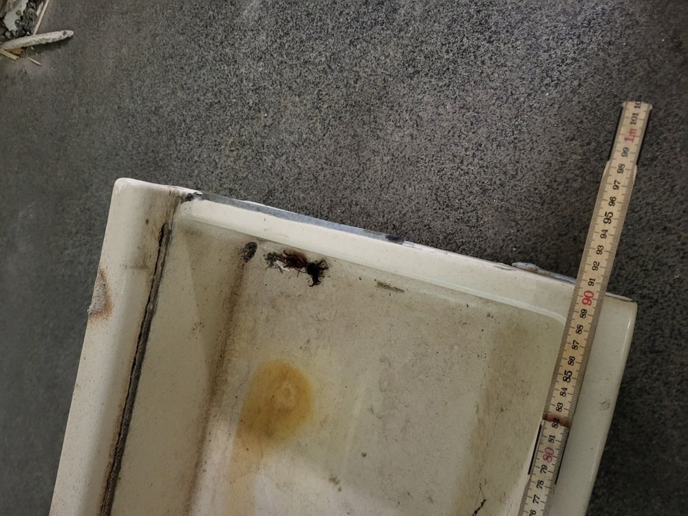 Trog 1 Kaufen auf Ricardo