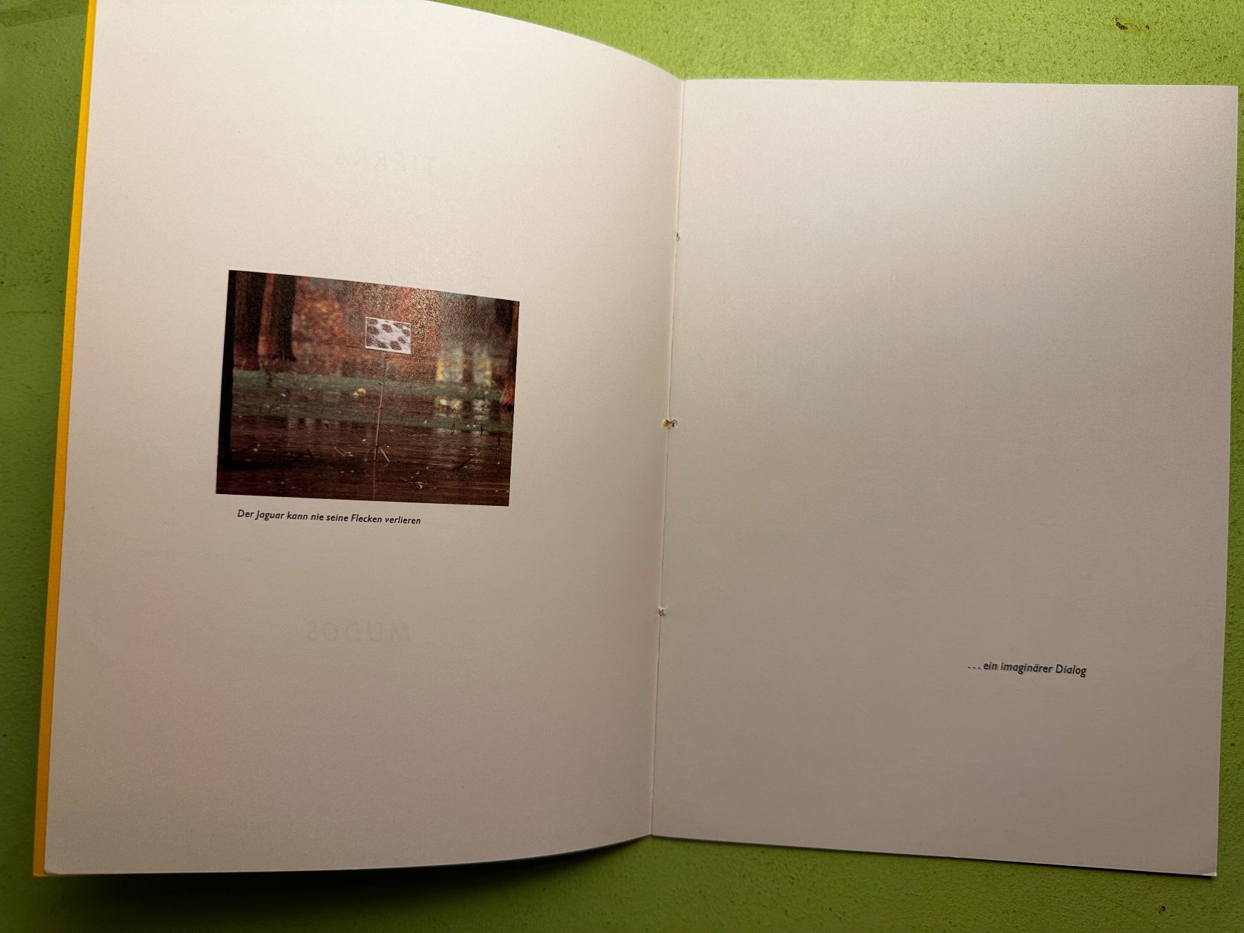 Libri: Lothar Baumgarten: Tierra de los perros mudos. d 1985 – Usato da Zürich venduto da allp 2