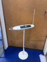Moog Theremini Theremin Teremin
