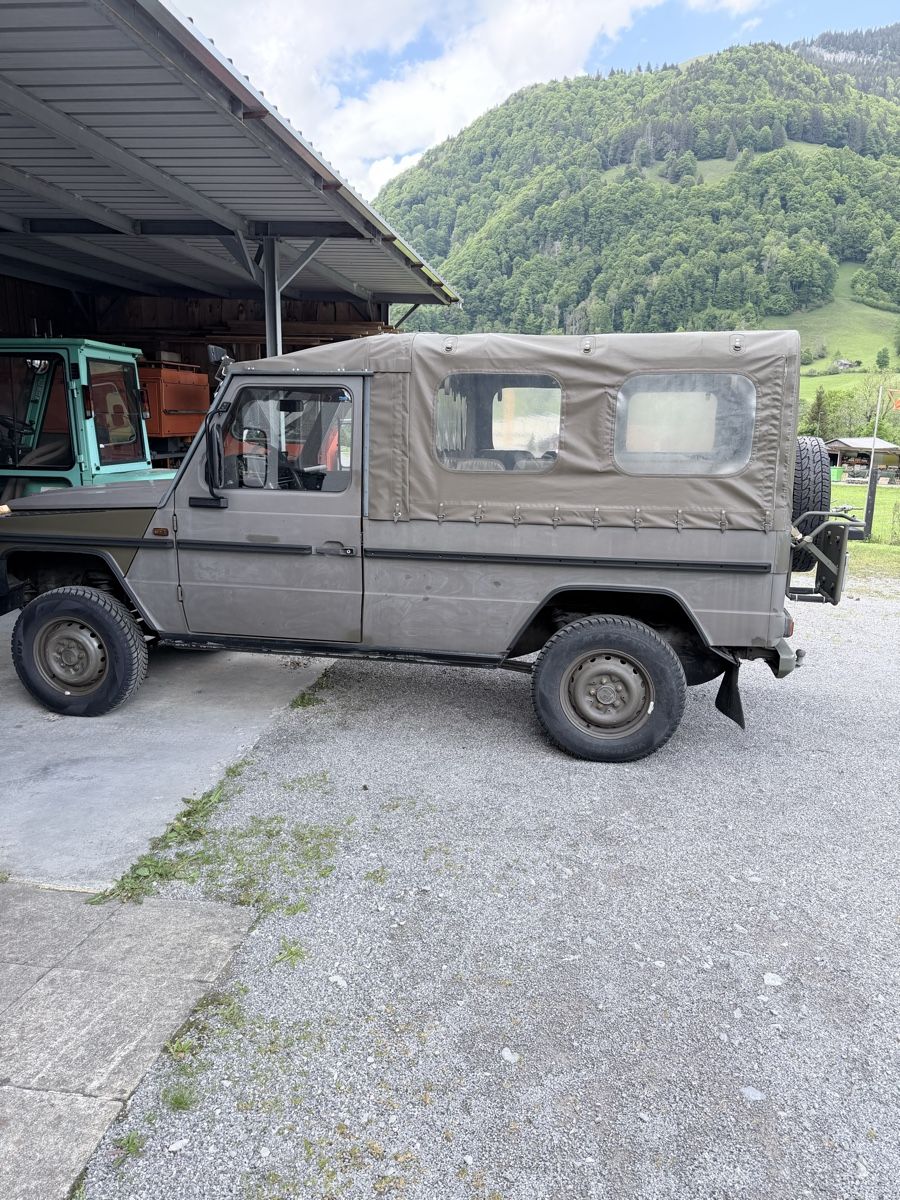 Veicoli commerciali: Puch 230 GE, Top Zustand – Usato da Alt St. Johann venduto da Puchli57