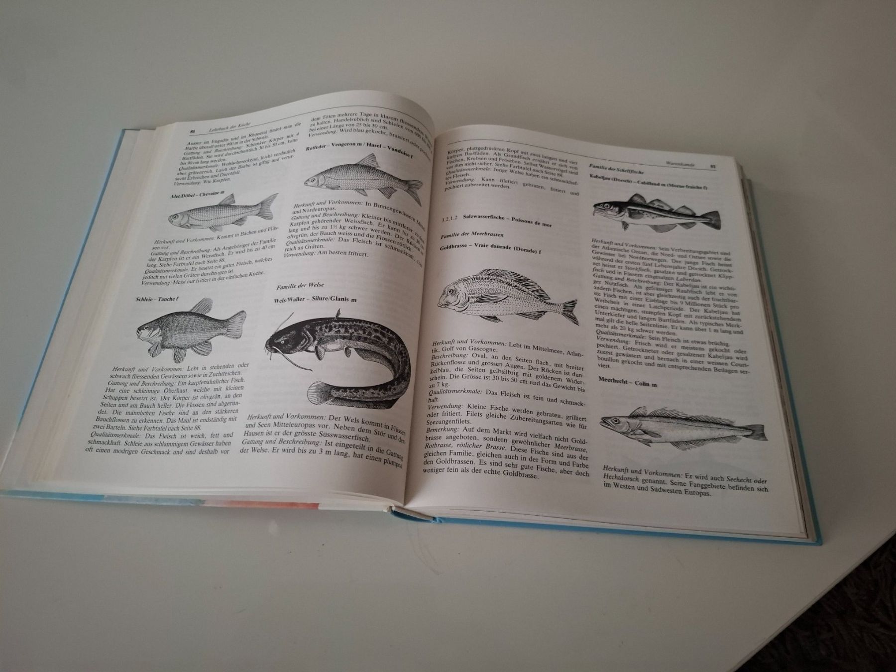 Libri: Pauli Lehr -Kochbuch – Usato da St.Gallen venduto da bpeter01 4