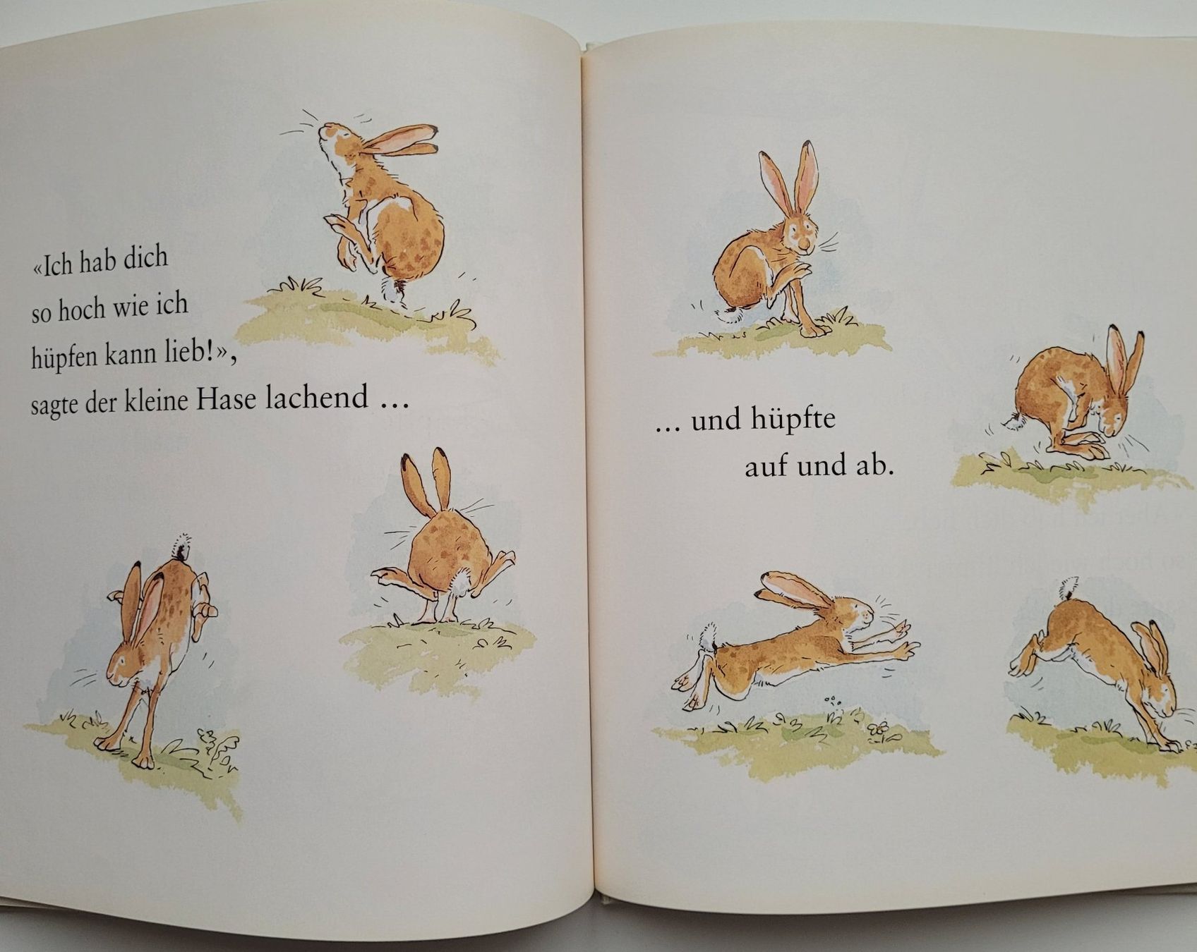 Libri: Weisst du eigentlich, wie lieb ich dich hab? – Usato da Würenlos venduto da Felisha 5