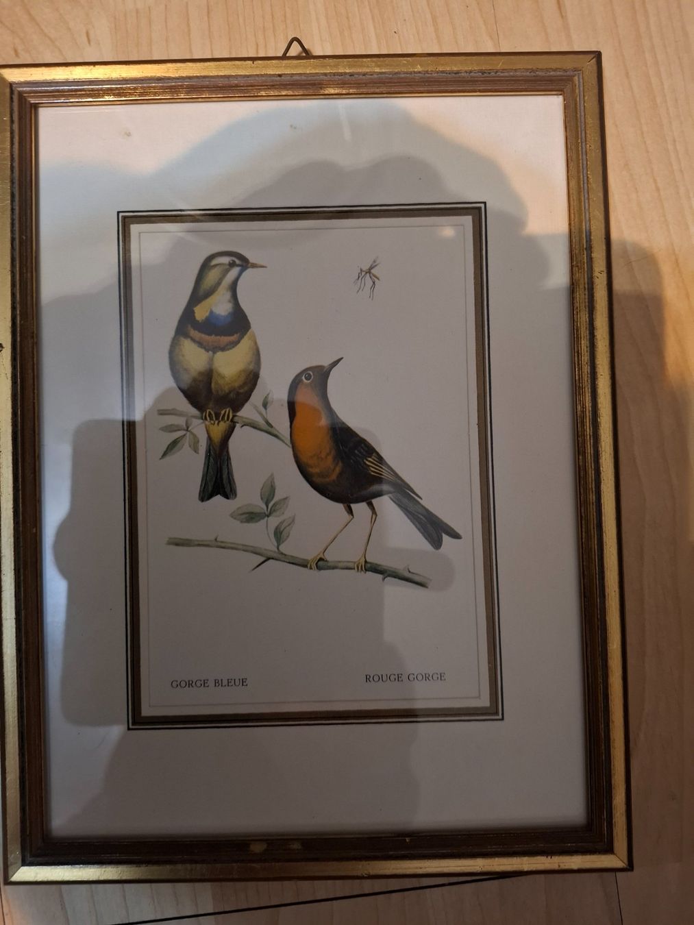 Gravures: Stich – D'occasion à Oberwil BL par Giwa 4